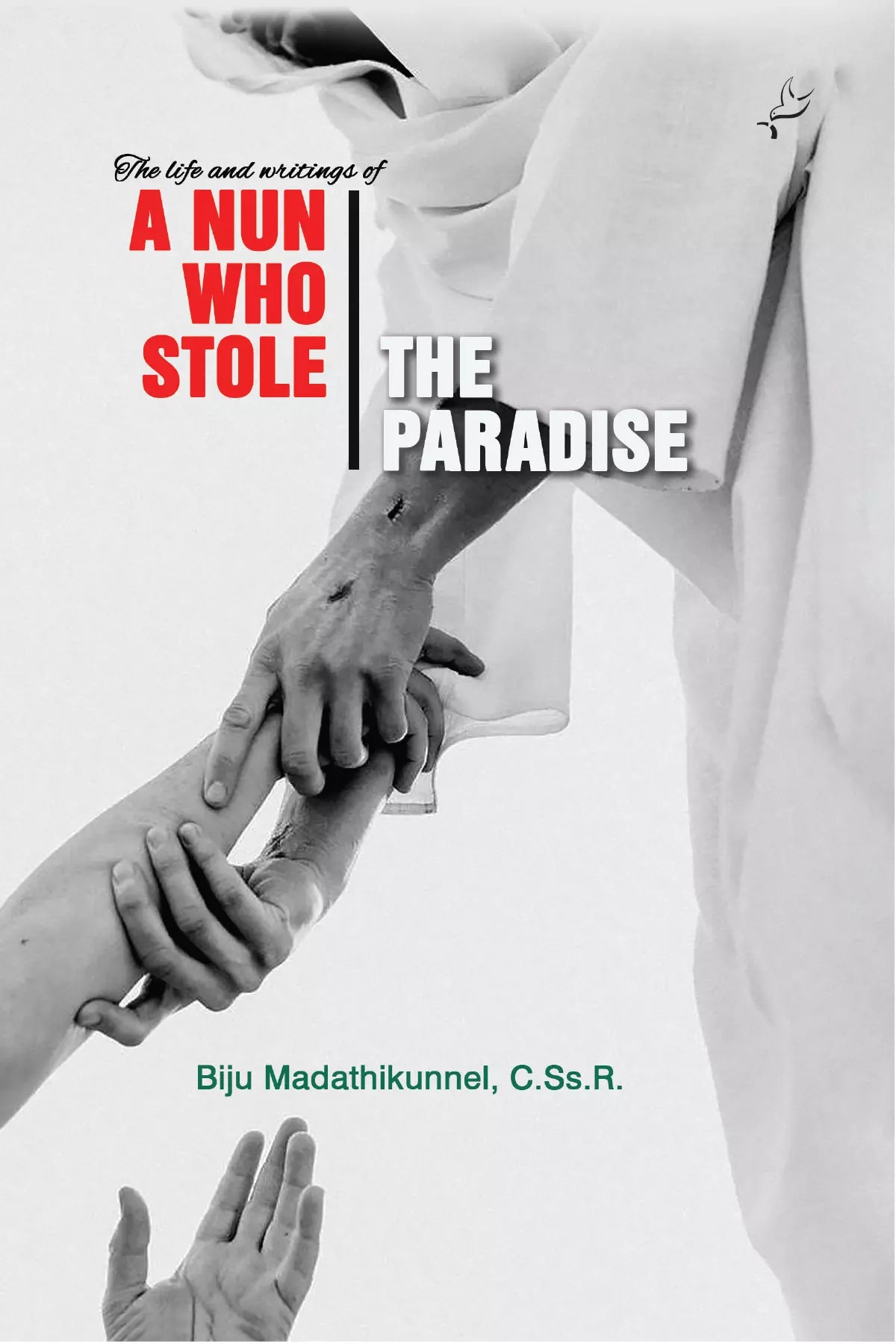 A Nun Who Stole The Paradise