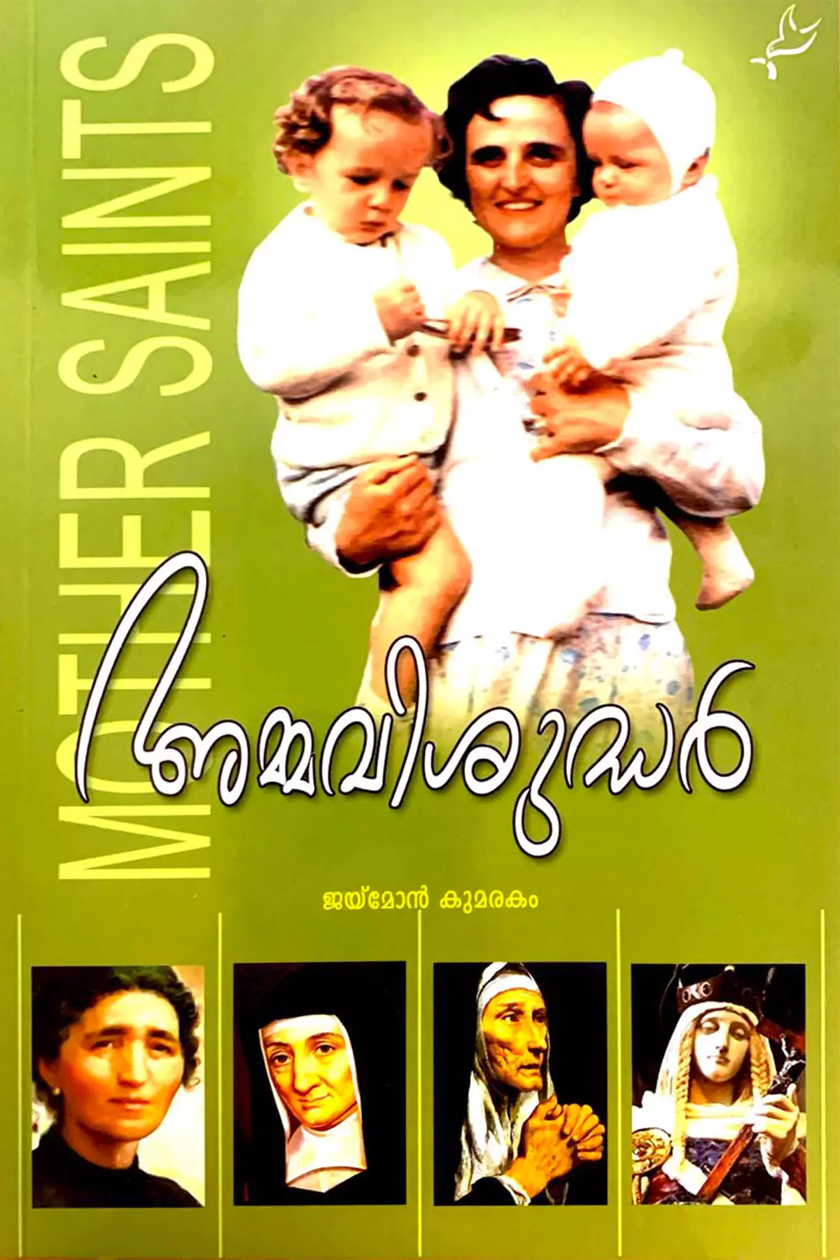 Ammavisudhar
