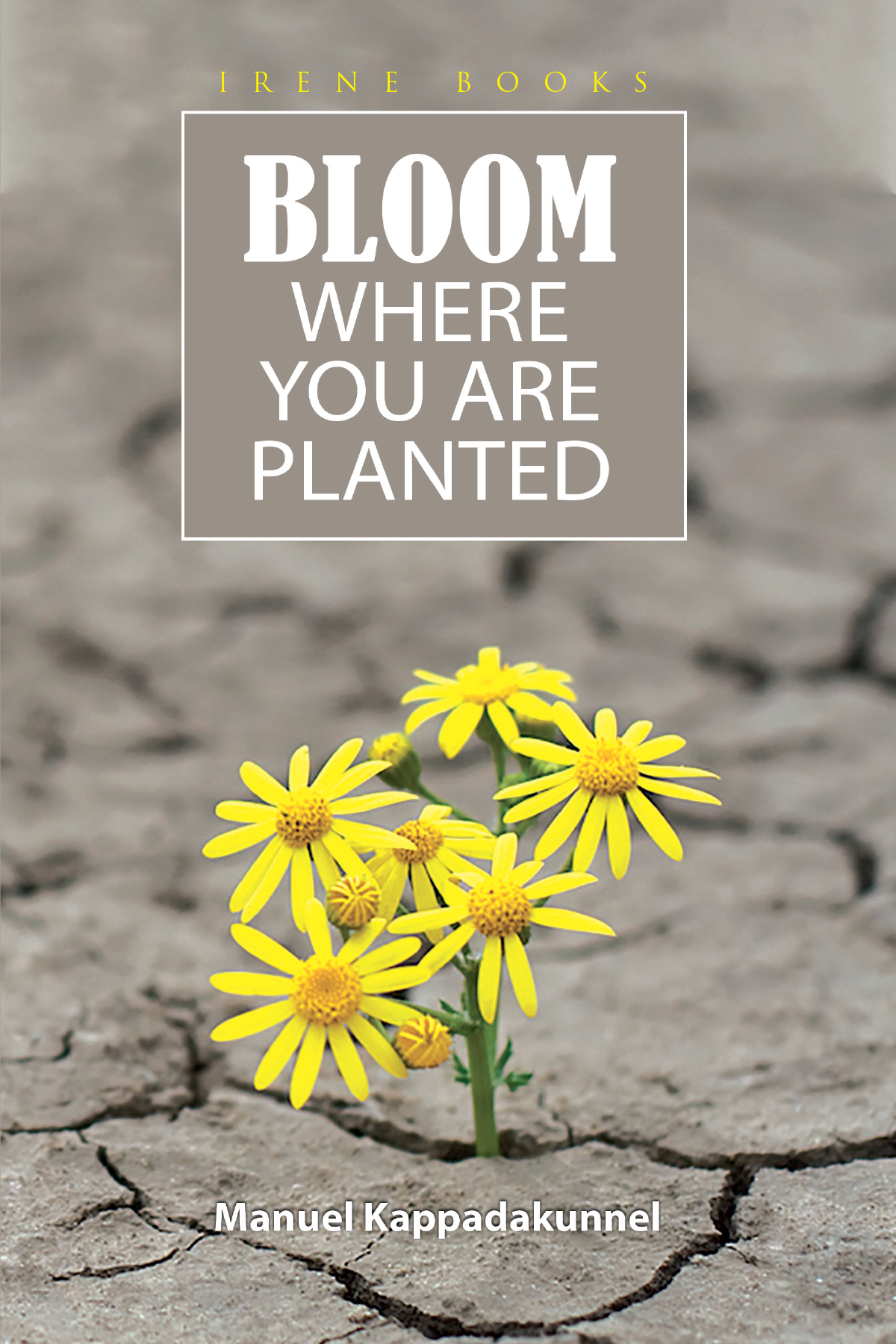 Bloom Where You Are Planted