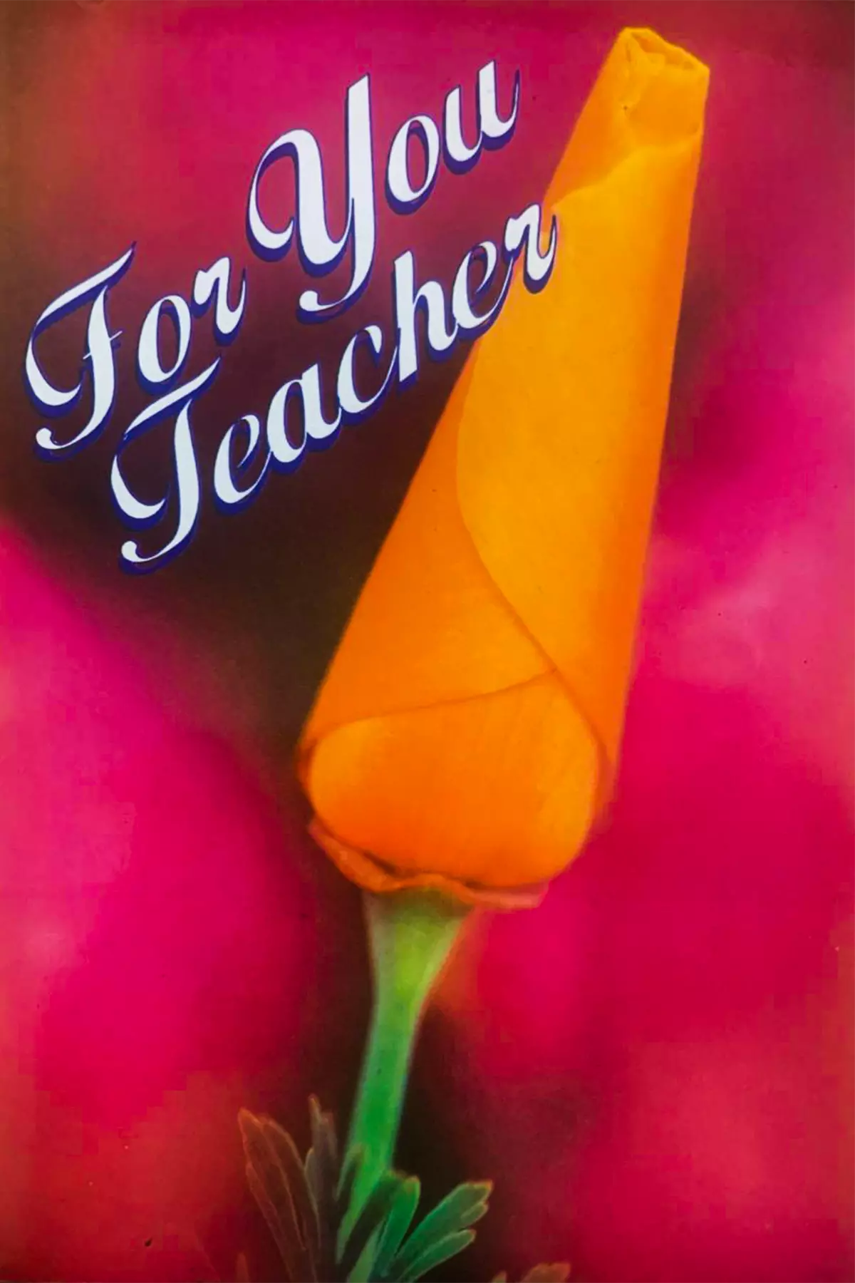 For You Teacher