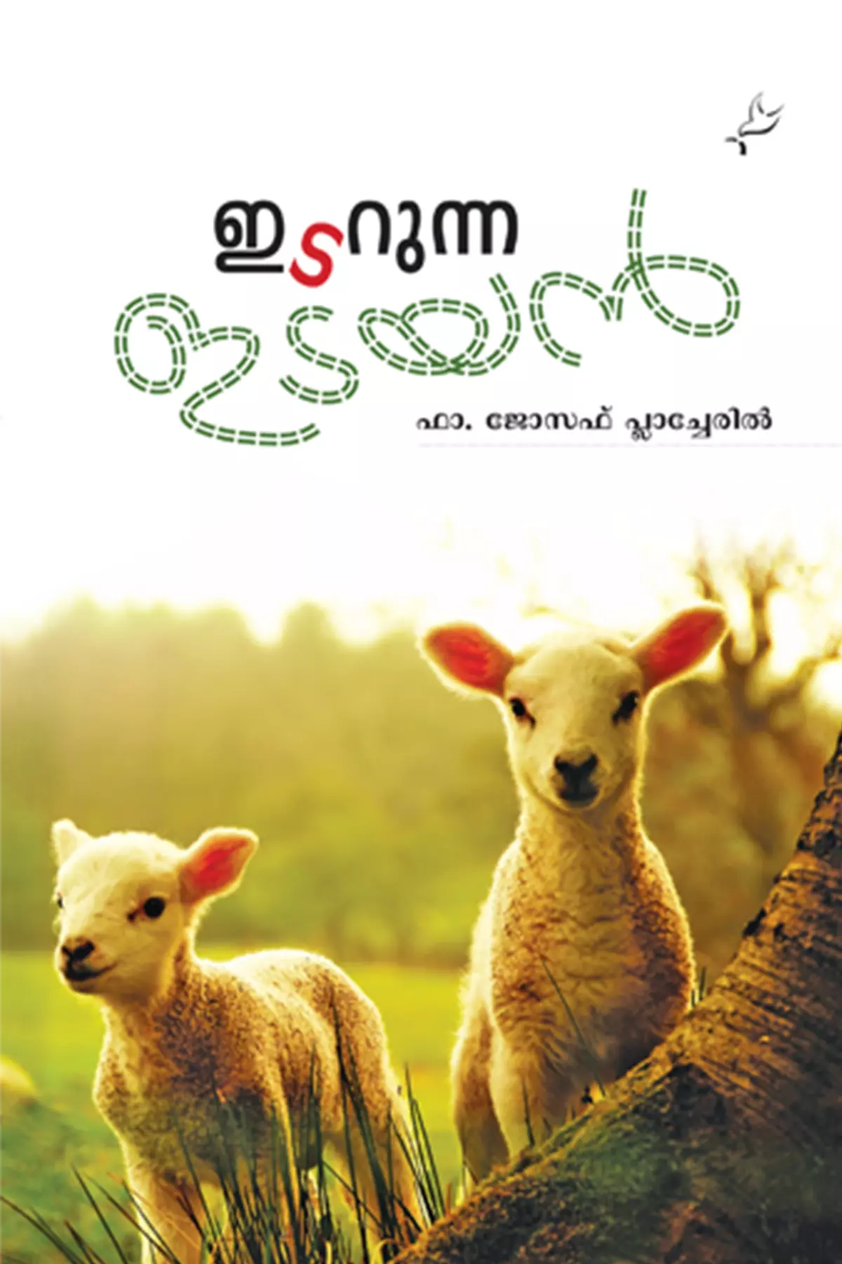 Idarunna Idayan