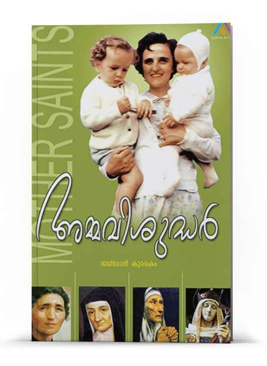 ammavisudhar